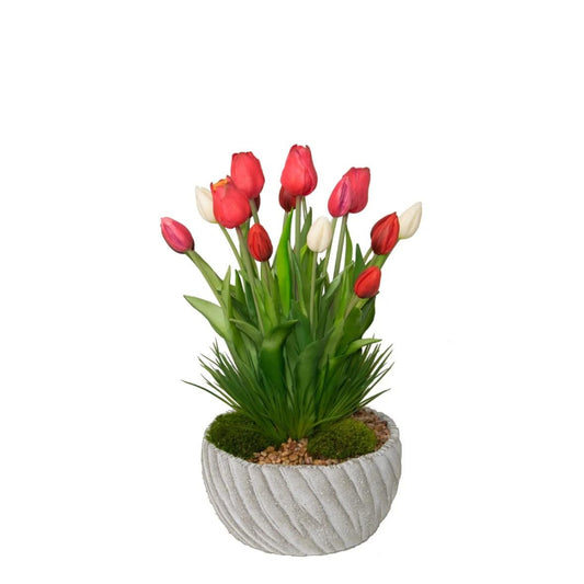 Tulip Arrangement
